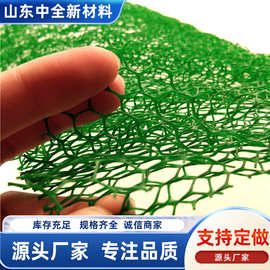 HDPE三维植被网厂家绿化护坡三维土工网垫绿色护坡EM3三维植被网
