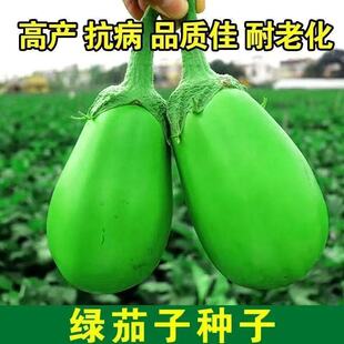 ����Ʒ�������G�ѷN���ļ�������Ƥ�Gɫ���ӷN����������G�ѷN��