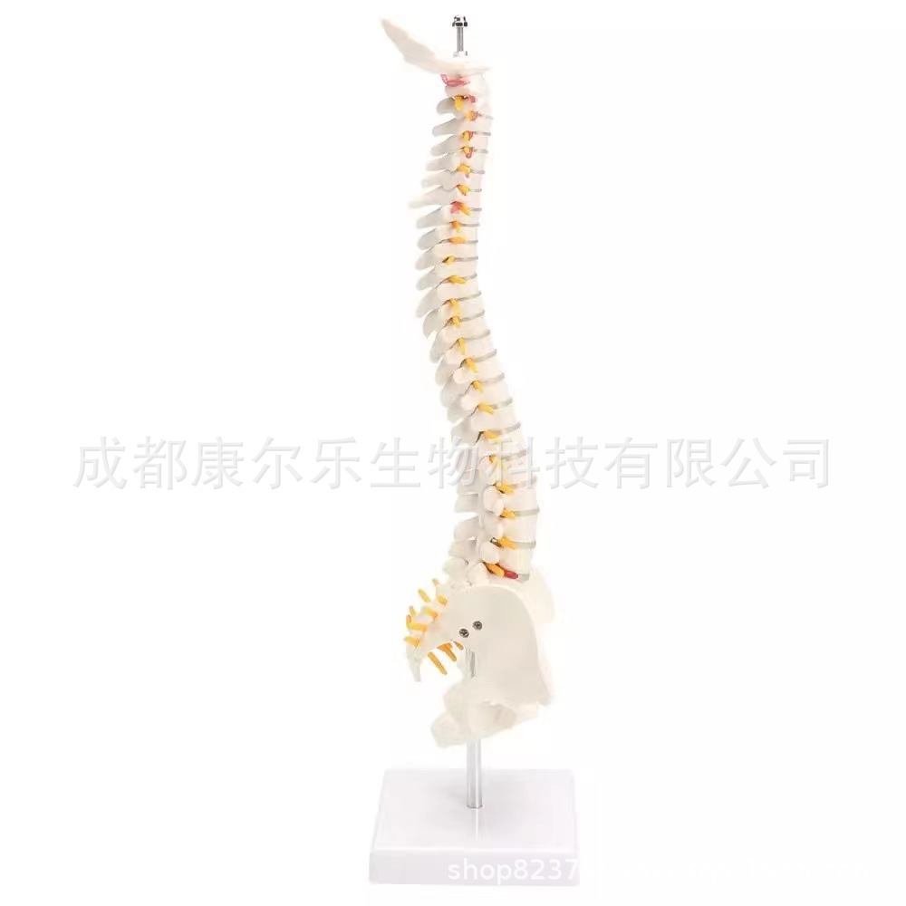 微信图片_20220901103640