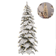 ʥ����װ��Ʒ LED����ŵ����PE+PVCֲ��ʥ����Ǧ���� �ҾӰڼ�