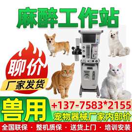 宠物医院动物呼吸机厂家 麻醉机呼吸机 猫狗鼠兔兽用呼吸机生产厂