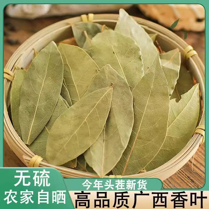 Bay Leaves from Guangxi, First Crop, New Spices, Seasonings, Marinades, Stew Ingredients, Stir-Fry Ingredients, Original Bay Leaves Bay Leaves from Guangxi, First Crop, New Spices, Seasonings, Marinades, Stew Ingredients, Stir-Fry Ingredients, Original Bay Leaves