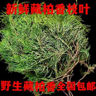 �������ز����֦�~���r��ժ�������֦��ɣ�������՚�����ͼ���