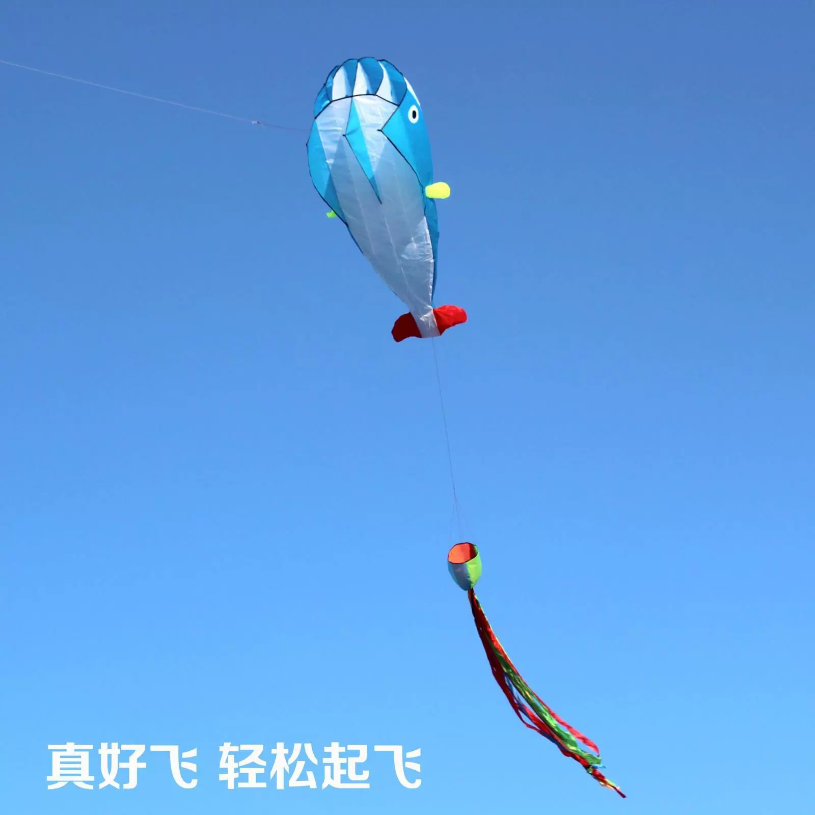 Kite for adults