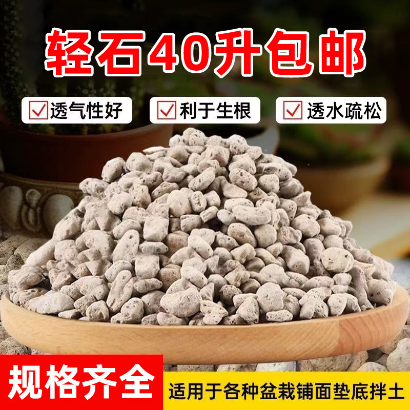 Wholesale Pumice Stone Granules for Orchids, Special Paving Soil, Base for Succulent Media, Potting Soil, Aquarium Filter