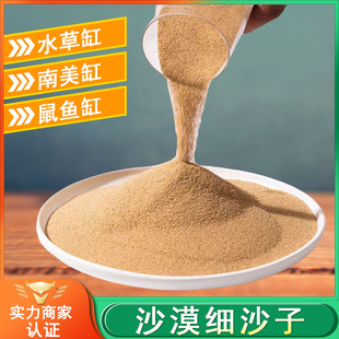 ɳĮ��ɳ���w���Sɳ�b��ɳ���ɳ�}��ԡɳ�����������ɳ�V��