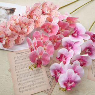 ��Ϫ����^�����mINS�L���滨�S�Ҽٻ��Gֲ�����l��c�b�ˇƷ