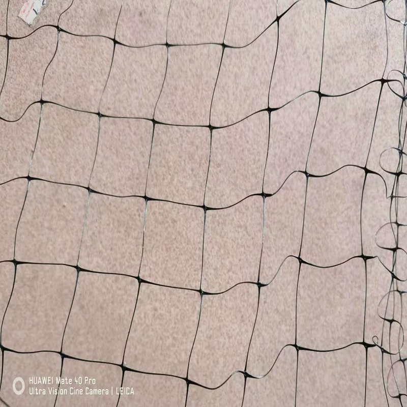 Внешняя торговля Экспорт PP птица чистая Защита пруда Рыбы Чистая сад Анти-птица чистая забор сада трансграничная анти-птица чистая