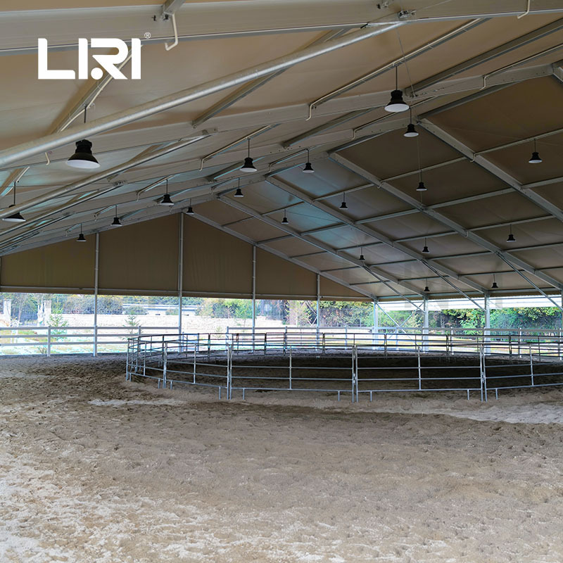 �������������� ����ѵ�������� �������� ���������