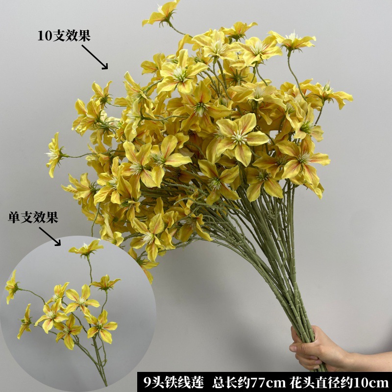 노란색 9개 머리 클레마티스