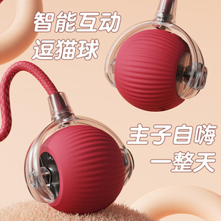 New Explosions Long Tail Toy Ball Rechargeable Tease Ball Cat Training Toy Tease Cat Training Cat Observation