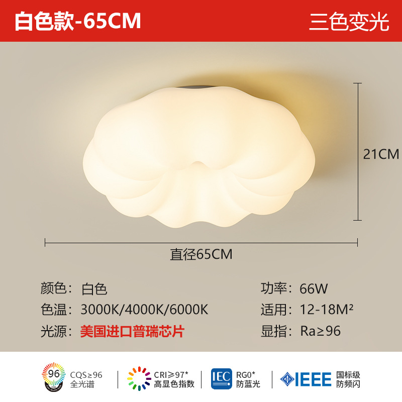 Purui 눈 보호 램프 천장형 65cm