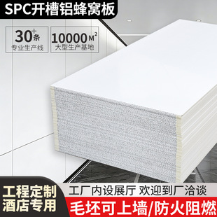 SPC�_�۷�C�X��Դ�^���S���l��ȼ������픠�����ϼӺ�8mm�X��C