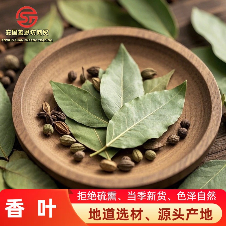 香叶 月桂叶香料香叶优选500g 大货量大从优 中药材香叶粉