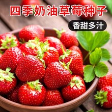 ͲݮNļ̨ԲݮNˮ҃ȷNֲrˮݮN