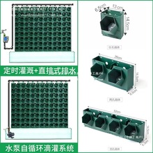 ֲ��Nֲ���{��@���̨��ֱ�G������ֲ��Ǡ��ڻ�����䳲����