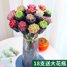 新品多肉植物创意年宵花花束生日礼品组合多肉花束套杆手捧花