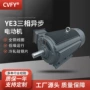 三相交流异步280kw电动机