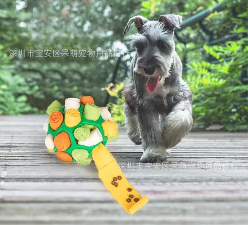 QQ图片20230330083438