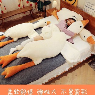 ����Z���lſ˯��ë�q����Ś������������޴��Z���п����W�t��