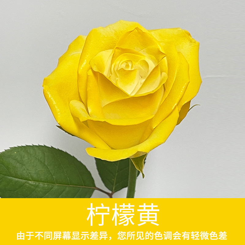 Material de embalaje de flores frescas Agente de tinción en aerosol de flores secas Salsa de ciruela negra Pintura en aerosol de flores Pintura en aerosol de flores Agente de color de flores