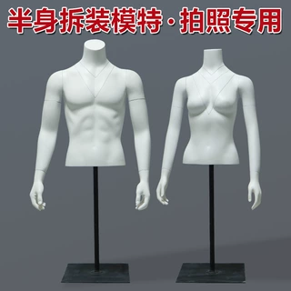 3D镂空拍照半身模特道具拆装男女外贸跨境电商人形定制