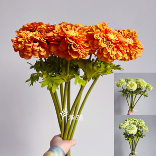 ���Q���վշ��滨 �ҾӘӰ��g�b��҃�ܛ�b�Gɫ�ջ��������l