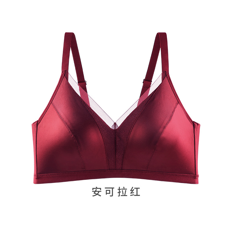 앙콜라 레드