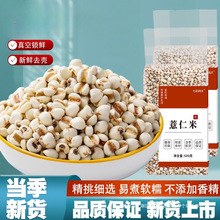 ޲������؛�r�����rȥ����޲���F��޲��������s�Z�Ǽt���ඹ����