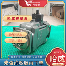 HAWE����V60N-130 RDYN-1-0-00-LSNR/L-2�S���������M��