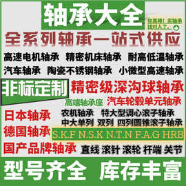 BEARING NSKskf轴承大全 微型精密SKFskf深沟球轴承 不锈钢耐高温