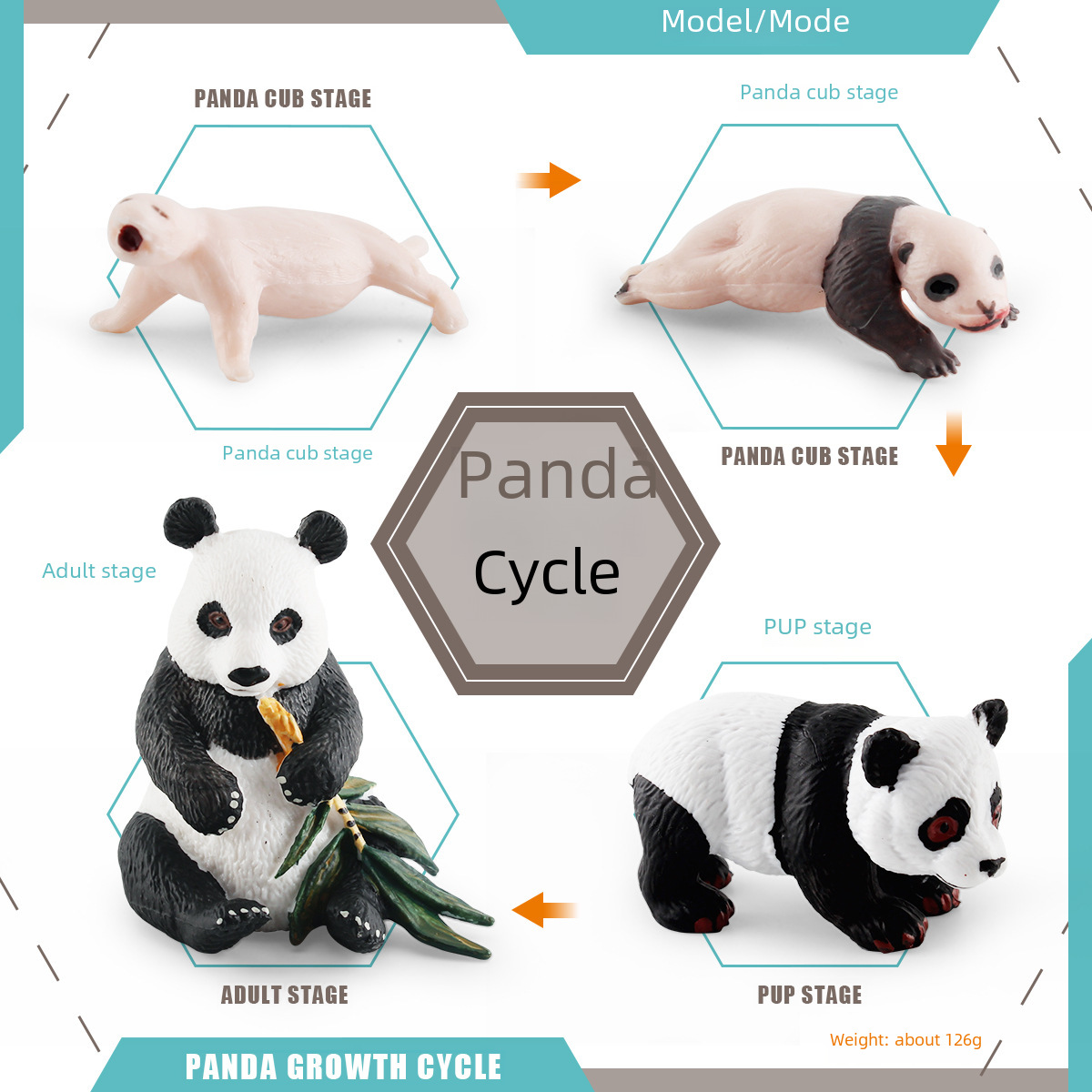Cross-border children's cognitive national treasure giant panda growth cycle simulation wild animal panda growth process display model