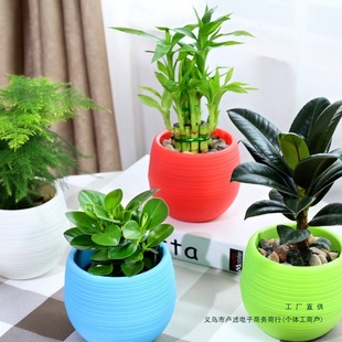 �lؔ��d�ӻ�����G�}�J�C�k���҃ȃ����՚�Gֲ���滨��ˮ��ֲ��