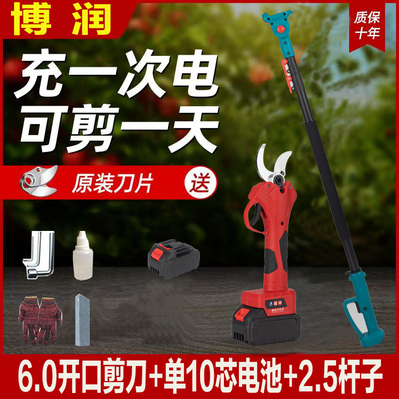 プロの国境を越えた電動剪定鋏、リチウム電池剪定鋏、庭の果樹の果実の枝はさみ、園芸の枝剪定電動工具|undefined