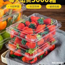 一斤装水果店包装盒一次性透明塑料带盖打包盒子蔬菜草莓500g超市