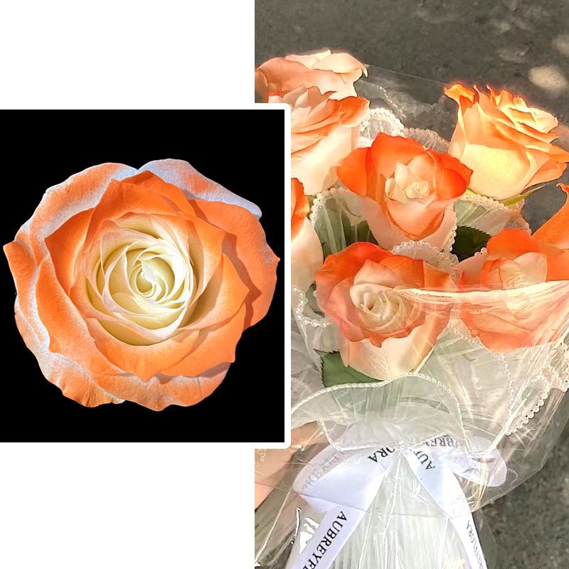 Internet celebridad ciruela negro rosa púrpura flores autopintadas agente de pulverización de color tinte floral spray colorante