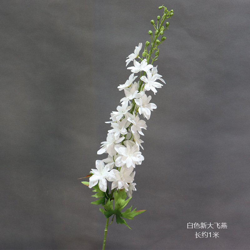 흰색 새 대형 비행 제비의 가지