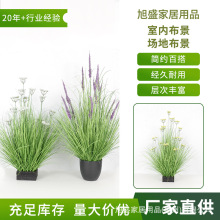 ����Gֲ���[��޹�²����Կ͏d��Y�b��쾰�ٻ��JȔ�ݸ߷���