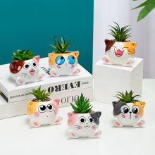 ���W�մɹ�ˇƷ�r�к��s����С���� �ɐ�؈�������L�Gֲ�����b�