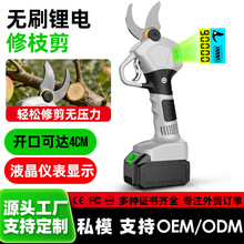 �羳�oˢ����֦������늄�4.0��֦�����È@�ֳ��ʽ늄Ӽ���