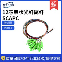 12о����β�wSCAPC��ģ���w����ģ�K���B�Ӿ����w��48о����