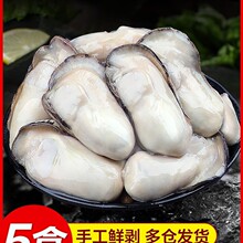 �r�����F����������rĵϠ�����Ϡ��ȥ�������ش��rˮ�a��S