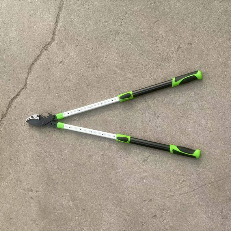 微信图片_20260129143011_571_408.jp