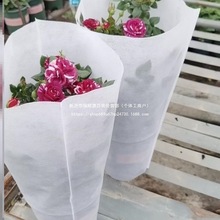 roԴٺϻ״bϰɫo״^b