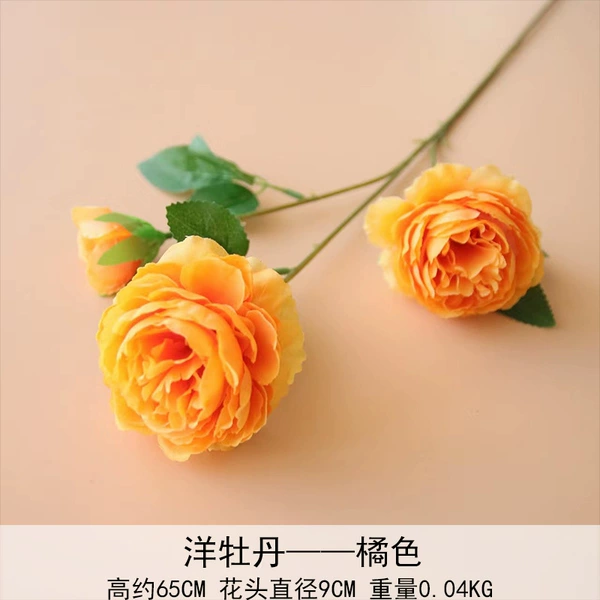 Western peony orange
