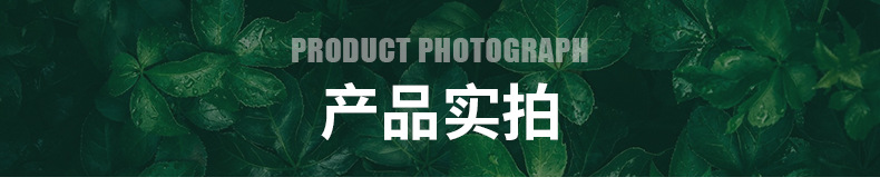 金银绿葵叶详情_07