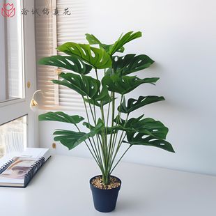 ����Gֲ�����~���Կ͏d�ٻ��[�������辰���ϻ���ֲ���������b�