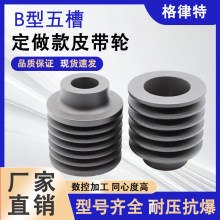 С��늙CƤ��݆�������ǎ�݆�T�FƤ��݆B��5�ۙCе����Ɂ�D����