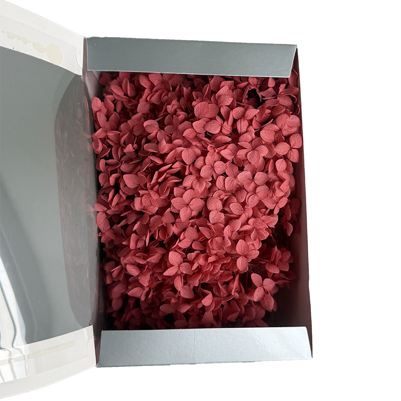 Anna Hortensia flor eterna Rosa Eterna caja de regalo flor seca flor preservada Flor Eterna