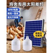�u���u�C�������������̫���ͥԺ����������һ�϶����w
